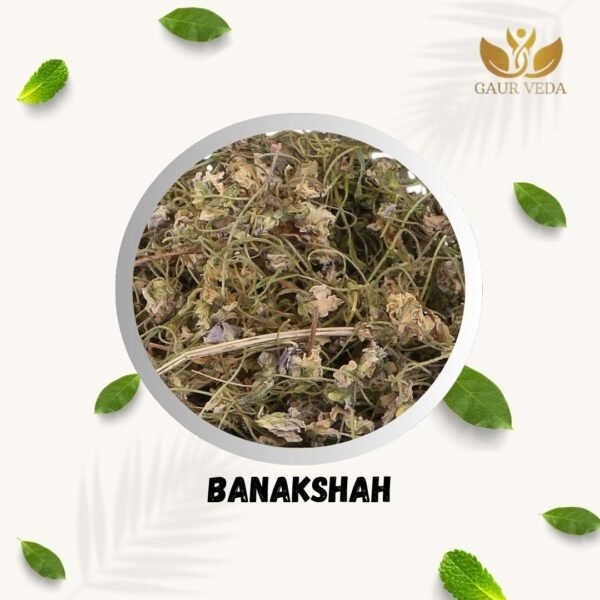 GAURVEDA Gulbanafsha Spl - Gul Banpsa - Viola Odorata - Sweet Violet - Pure & Natural - Image 3
