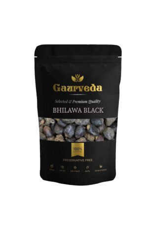 Gaurveda Bhilawa Seeds - Marking Nut - Bilava Beej - Bhilava - Bilawa - Selected - Quality